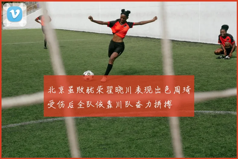 北京虽败犹荣翟晓川表现出色周琦受伤后全队依靠川队奋力拼搏